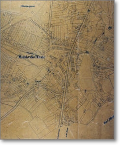 Map of Tluste on file at Central State Historical Archives 
                    of Ukraine