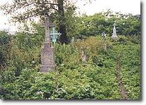 Tluste/Tovste's original Catholic cemetery, now overgrown 