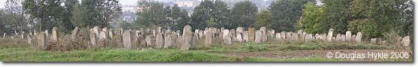 Jewish cemetery of Tovste - panorama