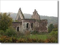 Remains of church at Czerwonogrod