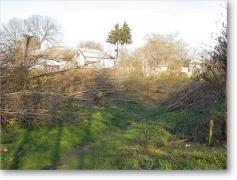 View of Tovste's old Catholic cemetery - 2008