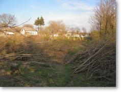 View of Tovste's old Catholic cemetery - 2008