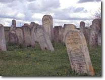 Gravestones in Tovste's Jewish cemetery