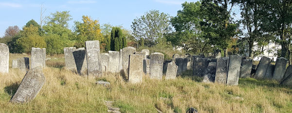 Tluste Jewish Cemetery - 2017