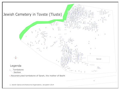 Map of tombstones in Tluste 's Jewish Cemetery